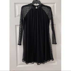 Zara Lace Dress